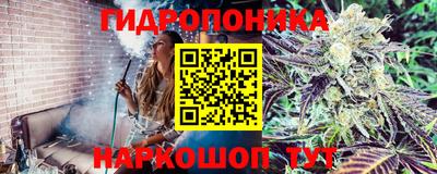 соль ск Будённовск